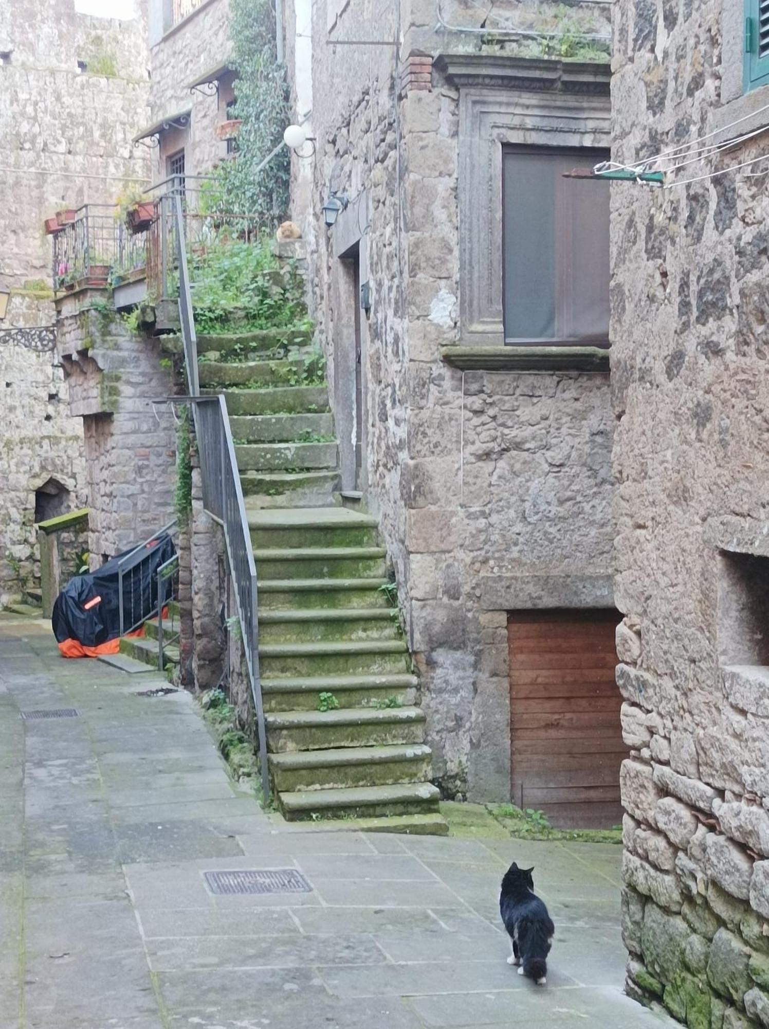 Sospesi Nel Borgo Vitorchiano Exteriér fotografie